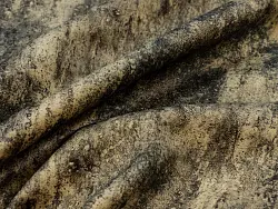 Mustang (moss)