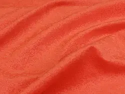 Puma (coral)